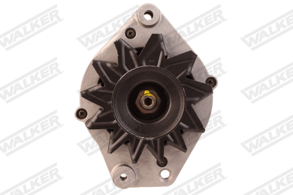 Dynamo / Alternator Walker WAL03208