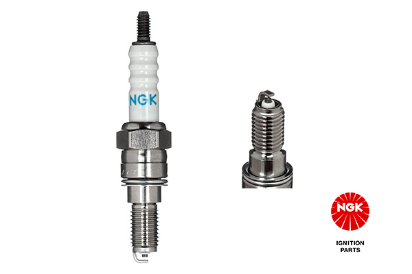 Bougie NGK 95748