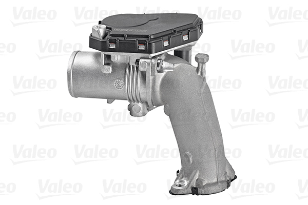 Valeo Gasklephuis 700416