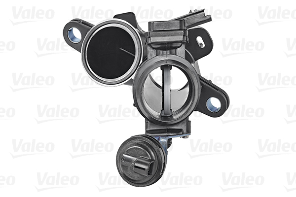 Gasklephuis Valeo 700440