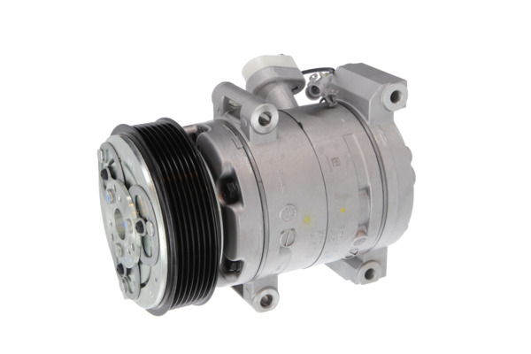 Valeo Airco compressor 559612
