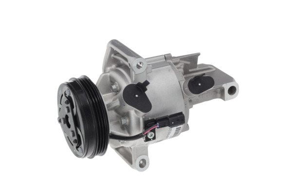 Valeo Airco compressor 699497