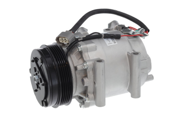 Valeo Airco compressor 813193
