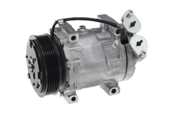 Valeo Airco compressor 813236