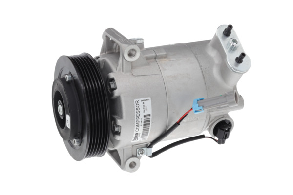Valeo Airco compressor 813410
