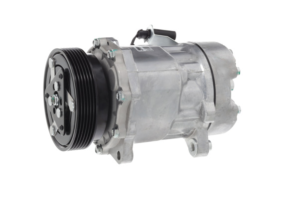 Valeo Airco compressor 813419