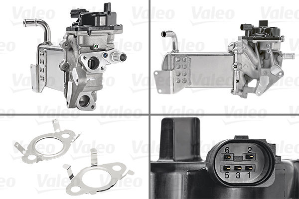 EGR-klep Valeo 700439