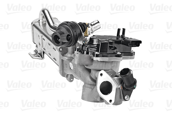 EGR-klep Valeo 700441