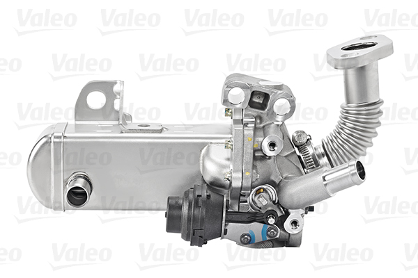 EGR-klep Valeo 700452