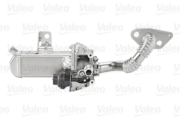 EGR-klep Valeo 700453