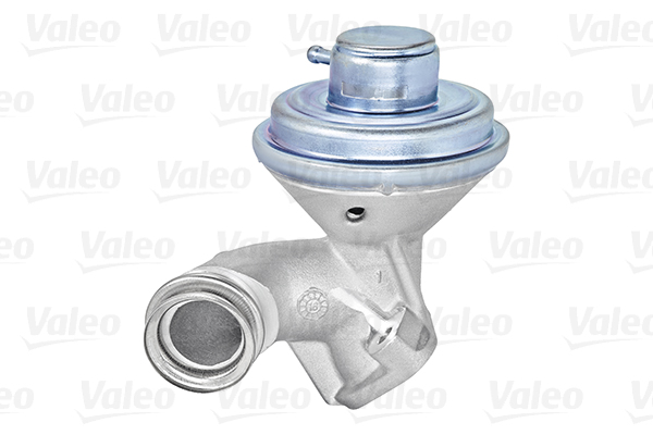 EGR-klep Valeo 700407