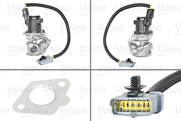 EGR-klep Valeo 700409