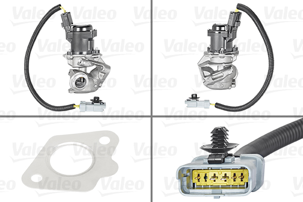 EGR-klep Valeo 700412