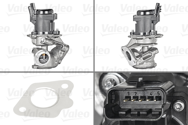 EGR-klep Valeo 700413