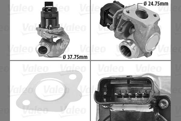 EGR-klep Valeo 700414