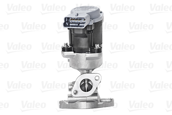 EGR-klep Valeo 700423