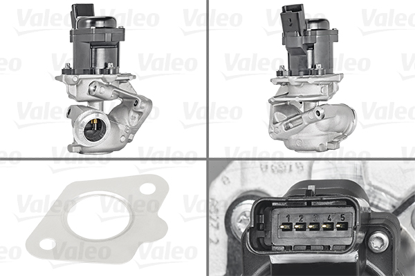 EGR-klep Valeo 700444