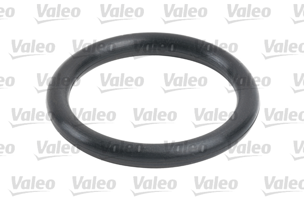 Valeo Brandstoffilter 587732