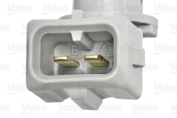 Valeo Temperatuursensor binnenkomende lucht 255600