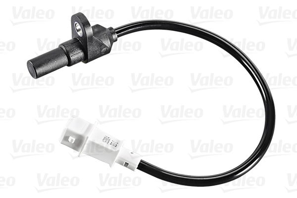 Valeo Krukas positiesensor 254071