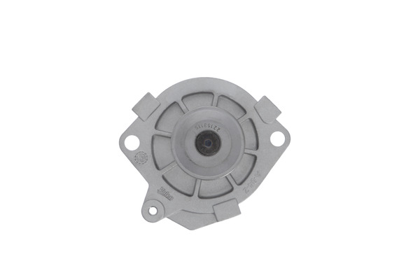 Valeo Waterpomp 529205