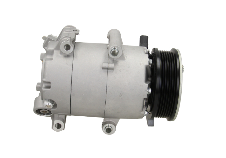 Bv Psh Airco compressor 090.595.013.020