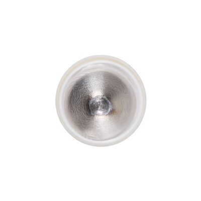 Bosch Gloeilamp, interieurverlichting 1 987 301 060