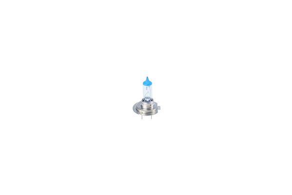 Bosch Gloeilamp, koplamp 1 987 301 441