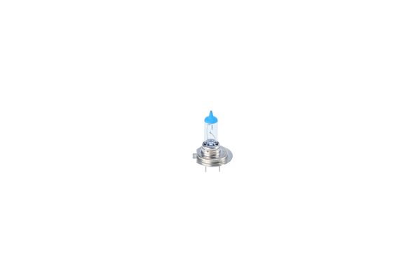 Bosch Gloeilamp, koplamp 1 987 301 441