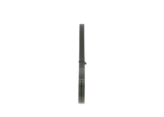 Bosch Poly V-riem 1 987 946 017