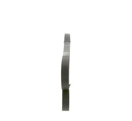 Bosch Poly V-riem 1 987 946 260