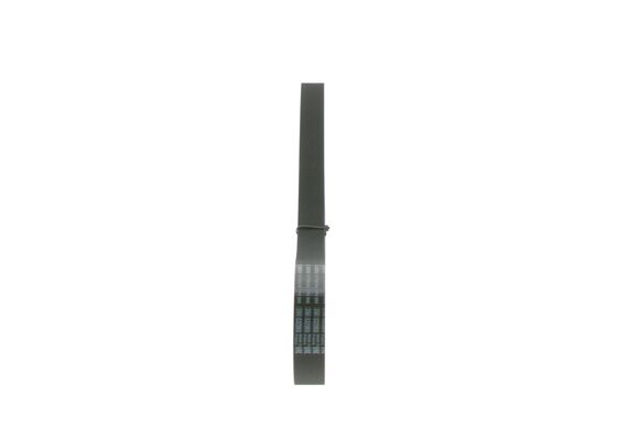 Bosch Poly V-riem 1 987 946 264