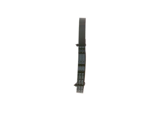 Bosch Poly V-riem 1 987 947 897