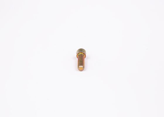 Schroef Bosch 2 423 410 031