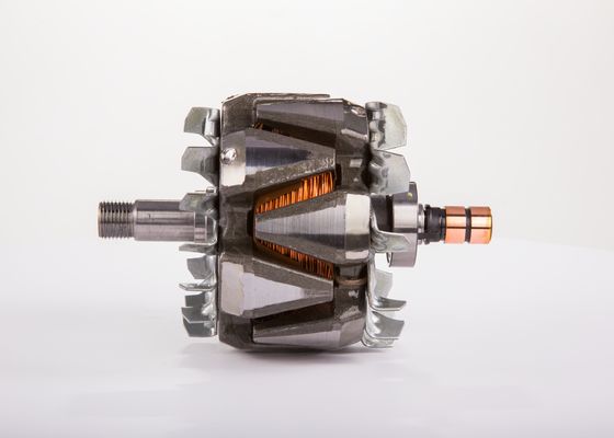 Rotor, generator Bosch F 00M 131 623