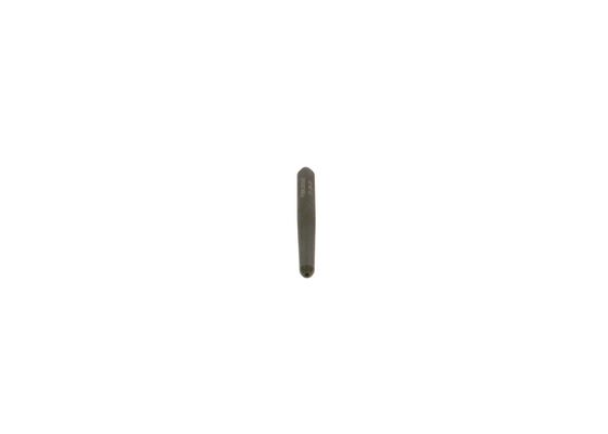 Bosch Drukbuiskoppelstuk, verstuiver F 00R J01 247