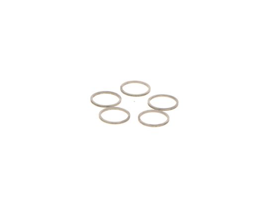 Bosch Pomp-sproeier eenheid F 00R J04 684