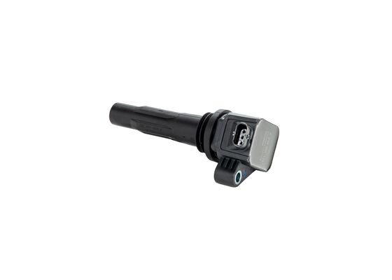 Bosch Bobine F 01R 00A 113