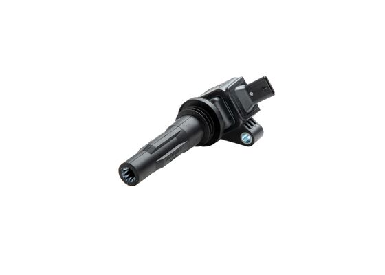 Bosch Bobine F 01R 00A 113