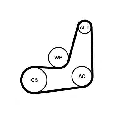 Poly V-riem set Contitech 6PK1019 ELAST K1