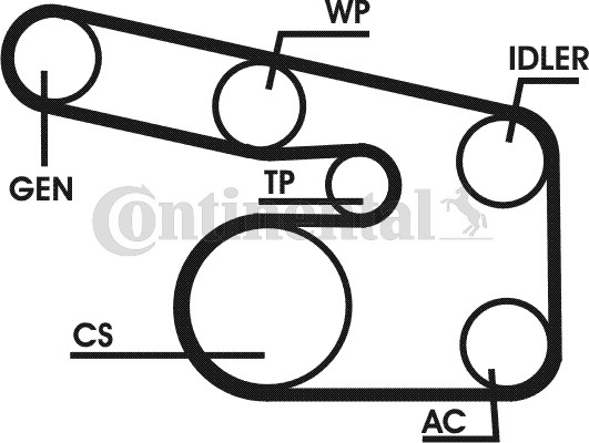 Poly V-riemen kit Contitech 6PK1873D1