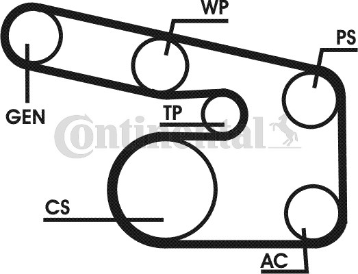 Poly V-riemen kit Contitech 6PK1900D1