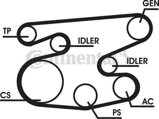 Poly V-riemen kit Contitech 6PK2215D1