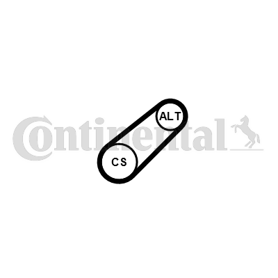 Poly V-riem Contitech 6PK701 ELAST