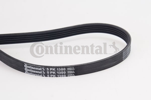 Poly V-riem Contitech 5PK1300