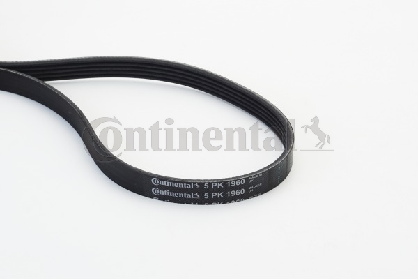 Poly V-riem Contitech 5PK1960