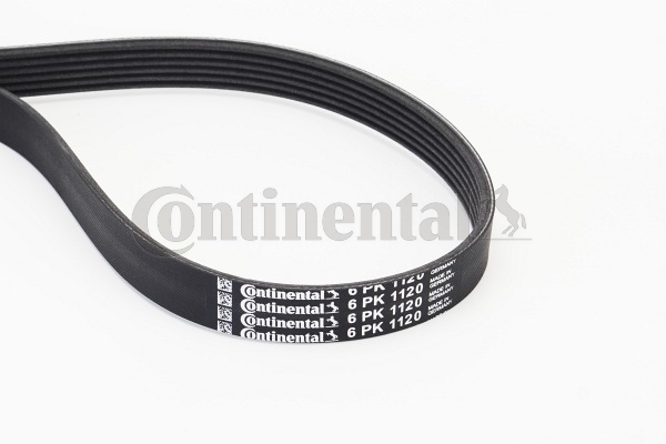 Poly V-riem Contitech 6PK1120