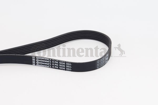 Poly V-riem Contitech 6PK1836