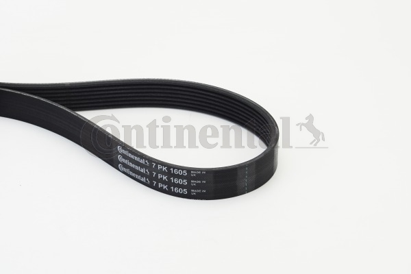 Poly V-riem Contitech 7PK1605