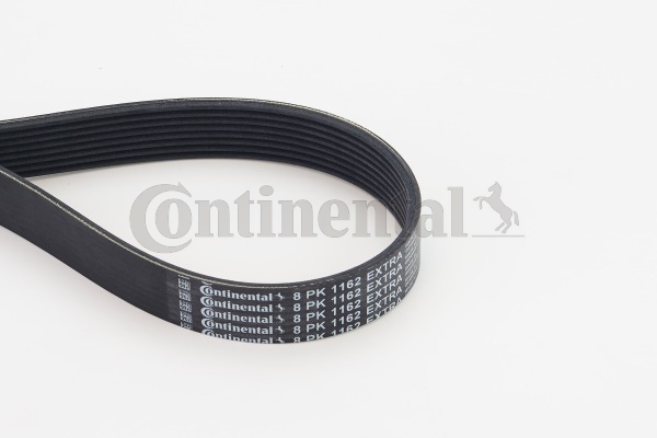 Poly V-riem Contitech 8PK1162 EXTRA